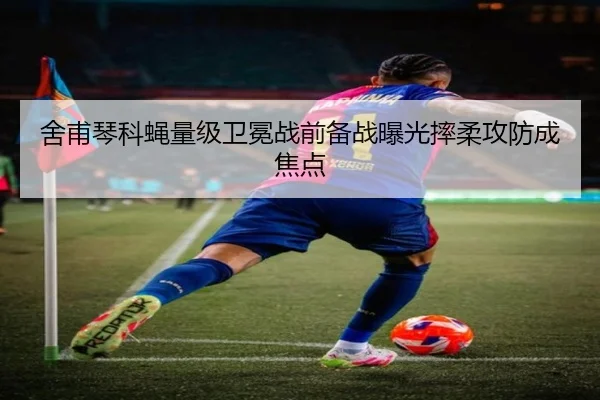 舍甫琴科蝇量级卫冕战前备战曝光摔柔攻防成焦点